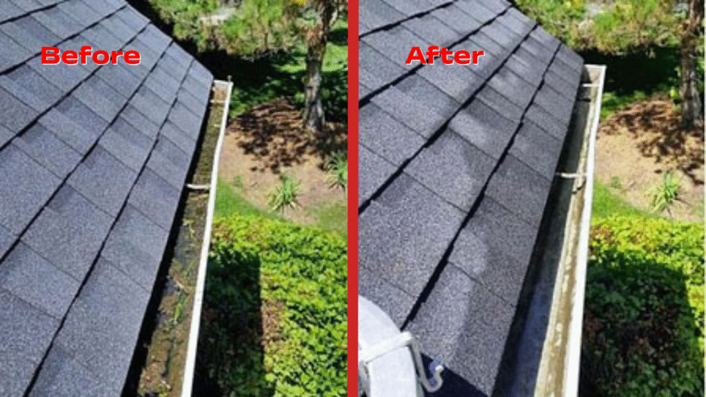 Gutter cleaning service