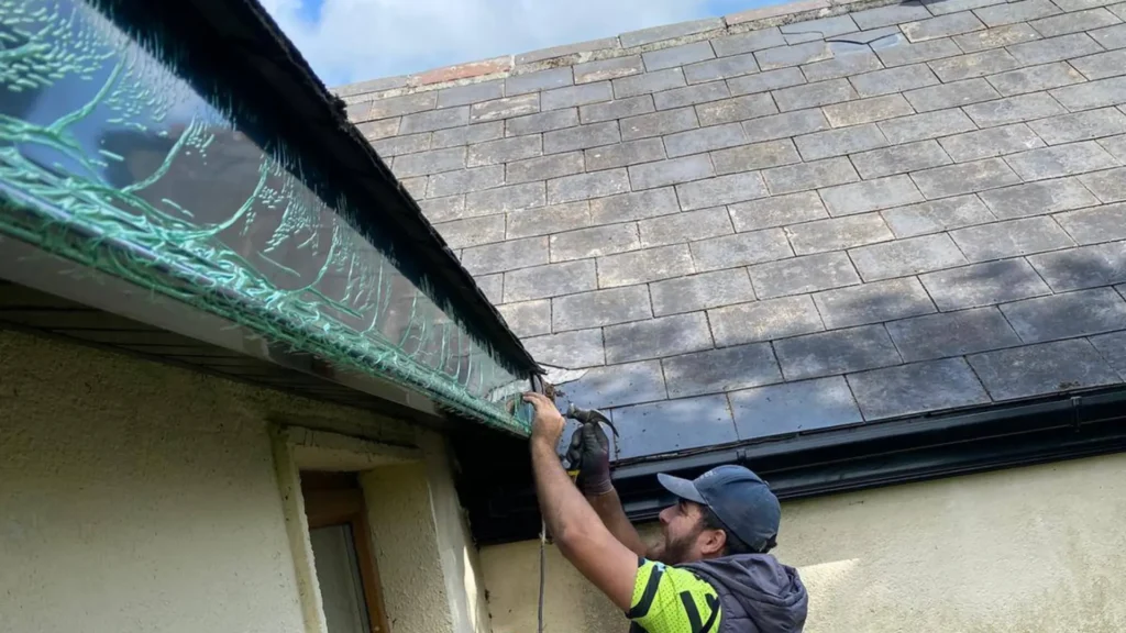 Professional gutter cleaning and downpipe unclogging service in Kildare
