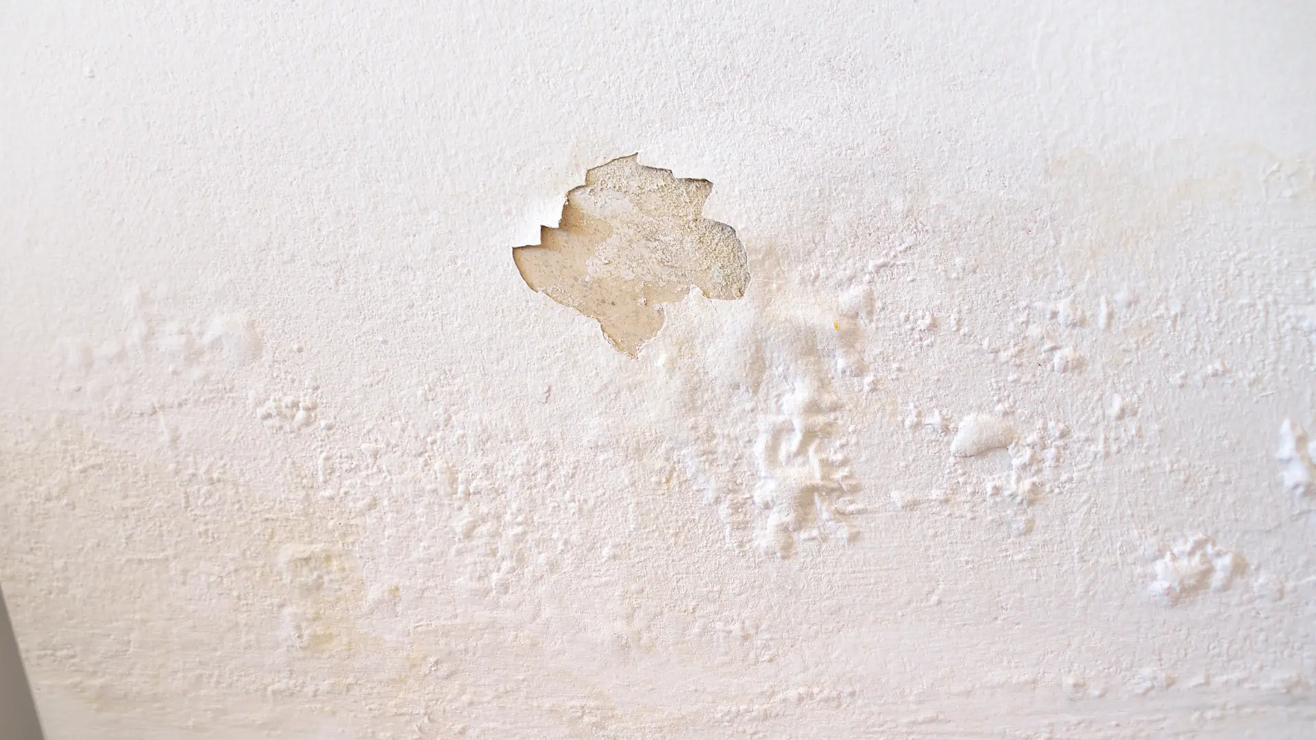 Ceiling water stains caused by a roof leak inside a home